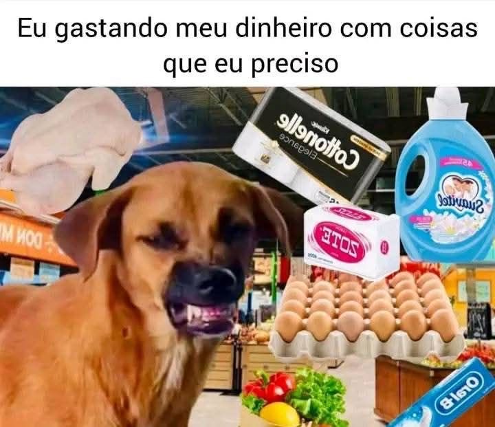 Pagina lixo (@paginalixo1) on Twitter photo 