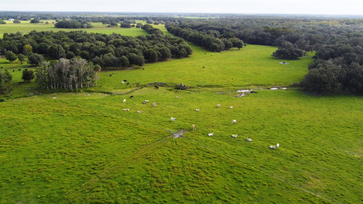 Florida Dept. of Agriculture & Consumer Services tweet media