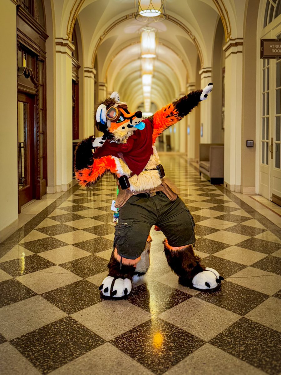 Archie 🦊 tweet media