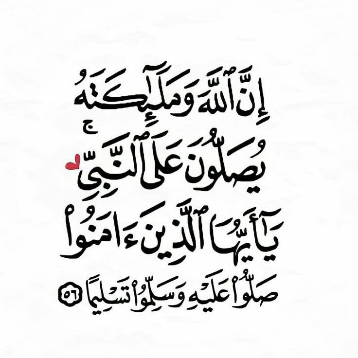 <a href="/abdulla25546692/">نبض الحياة</a>