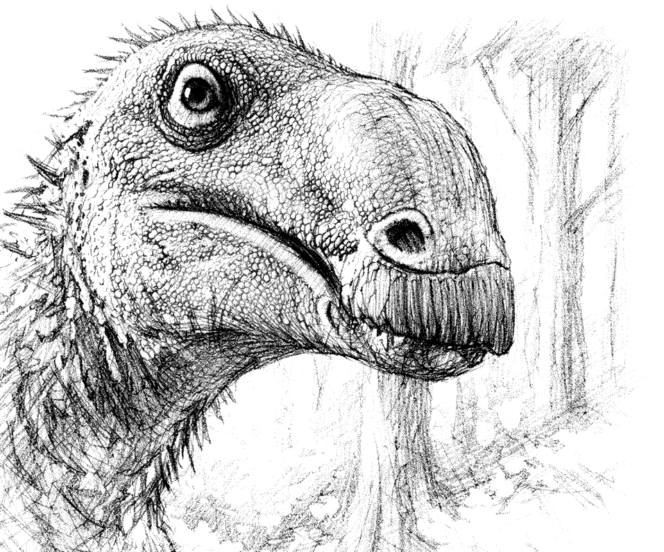 Ready to scan...Haolong dongi