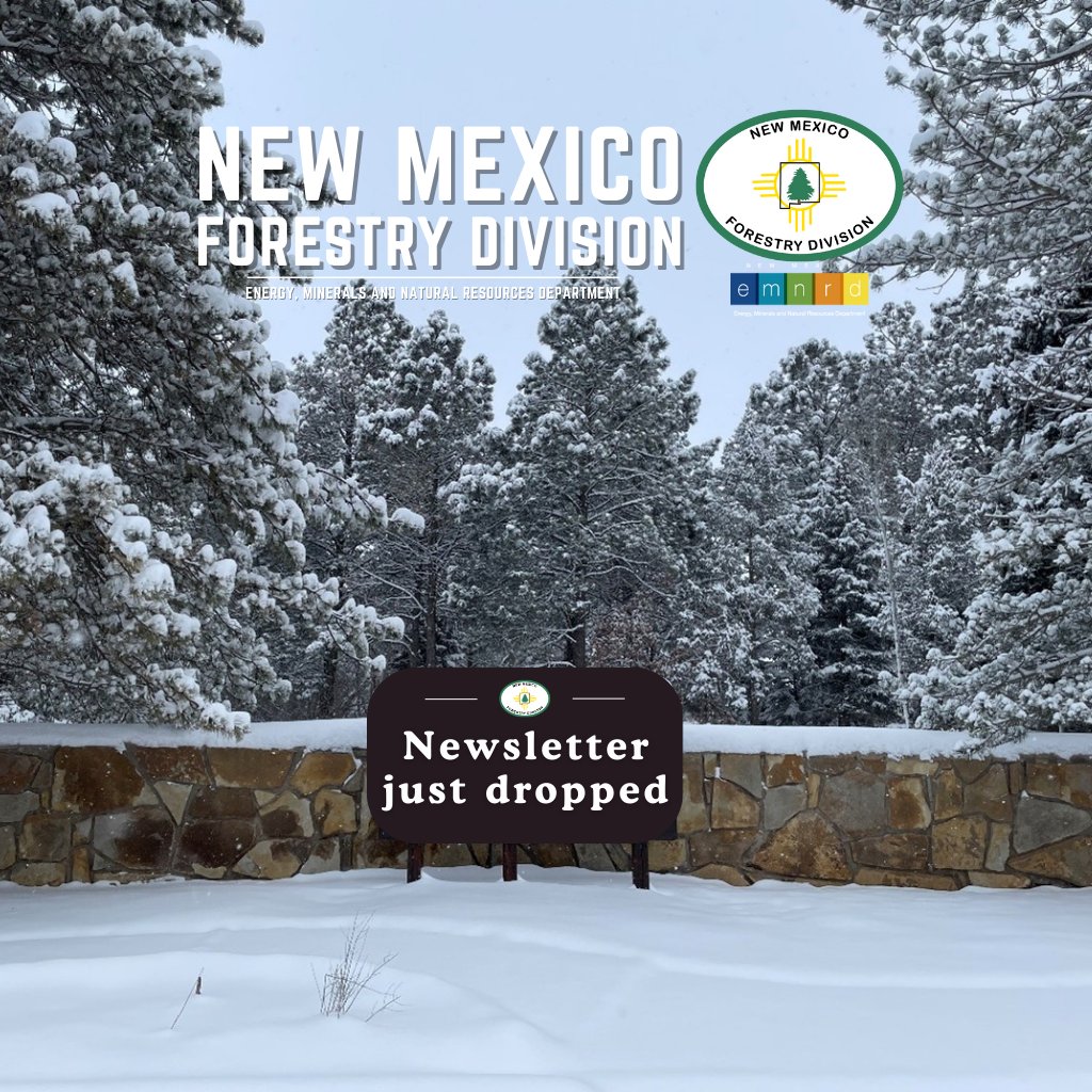 Is there such a thing as too many trees? 
Read about it in our Feb. newsletter! 
Plus:
• Our first-ever direct payment program for post-fire projects 
• The launch of the U.S. Wildland Fire Service 
• Job opportunities, hot work tips and events: mailchi.mp/state/what-was…