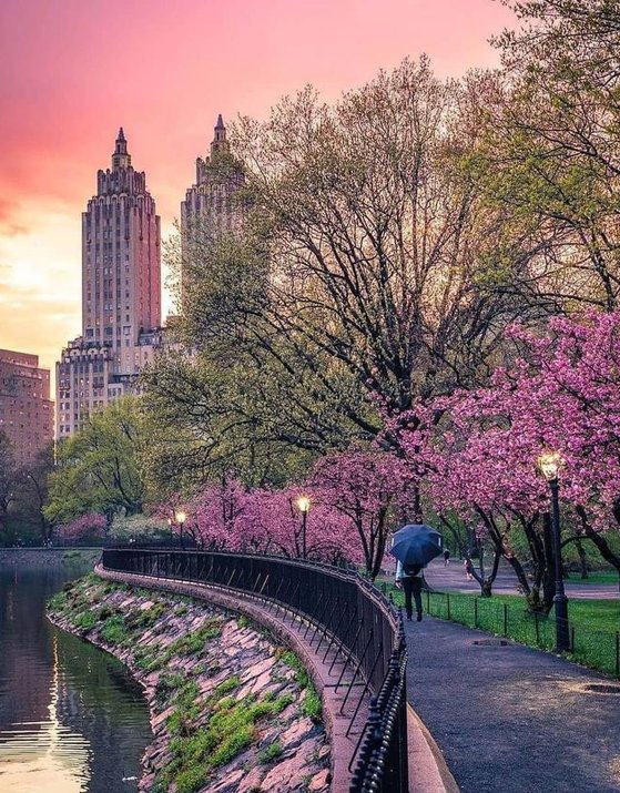 lbohnengel's tweet image. お金は嬉しいです 🦐