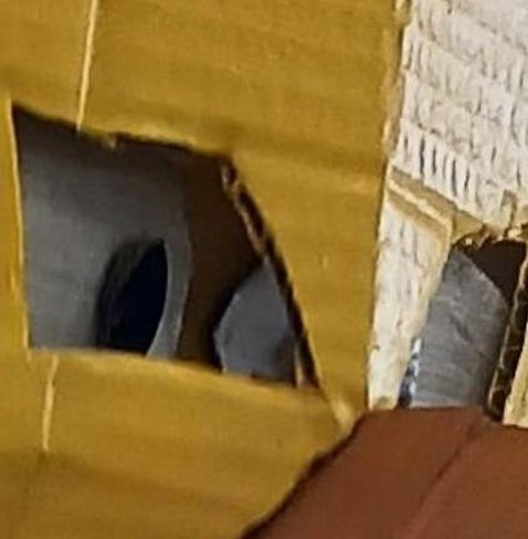 TobyBox1's tweet image. 今サイクリングを再開する 👱‍♀️