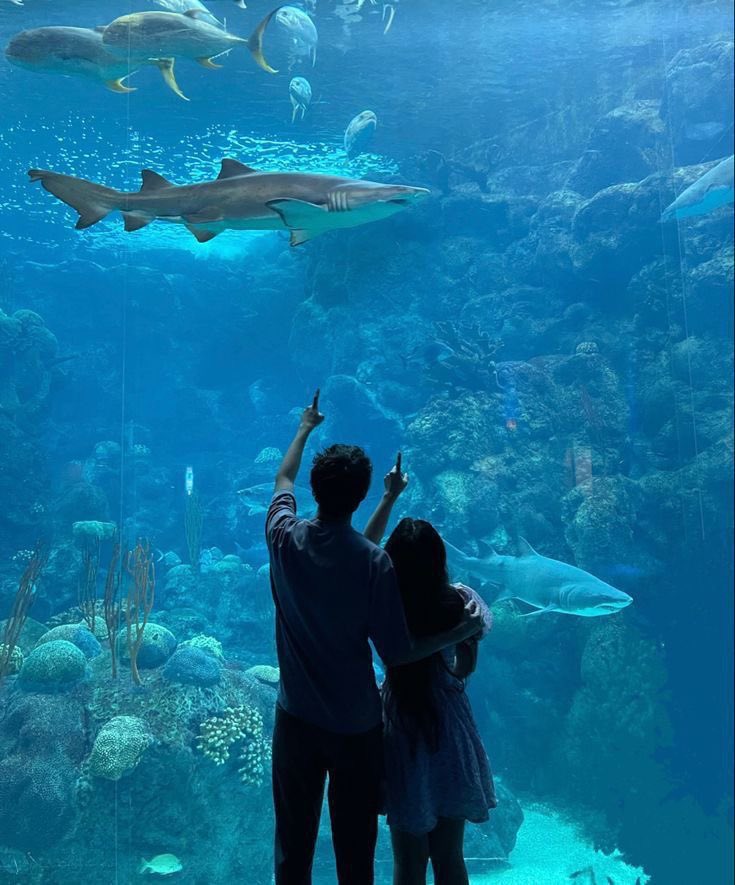 museum date or aquarium date?