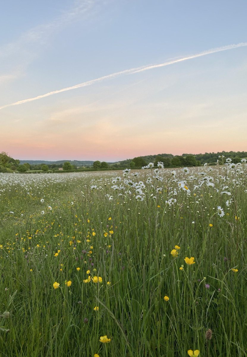 worlds02's tweet image. 深呼吸する ⛪