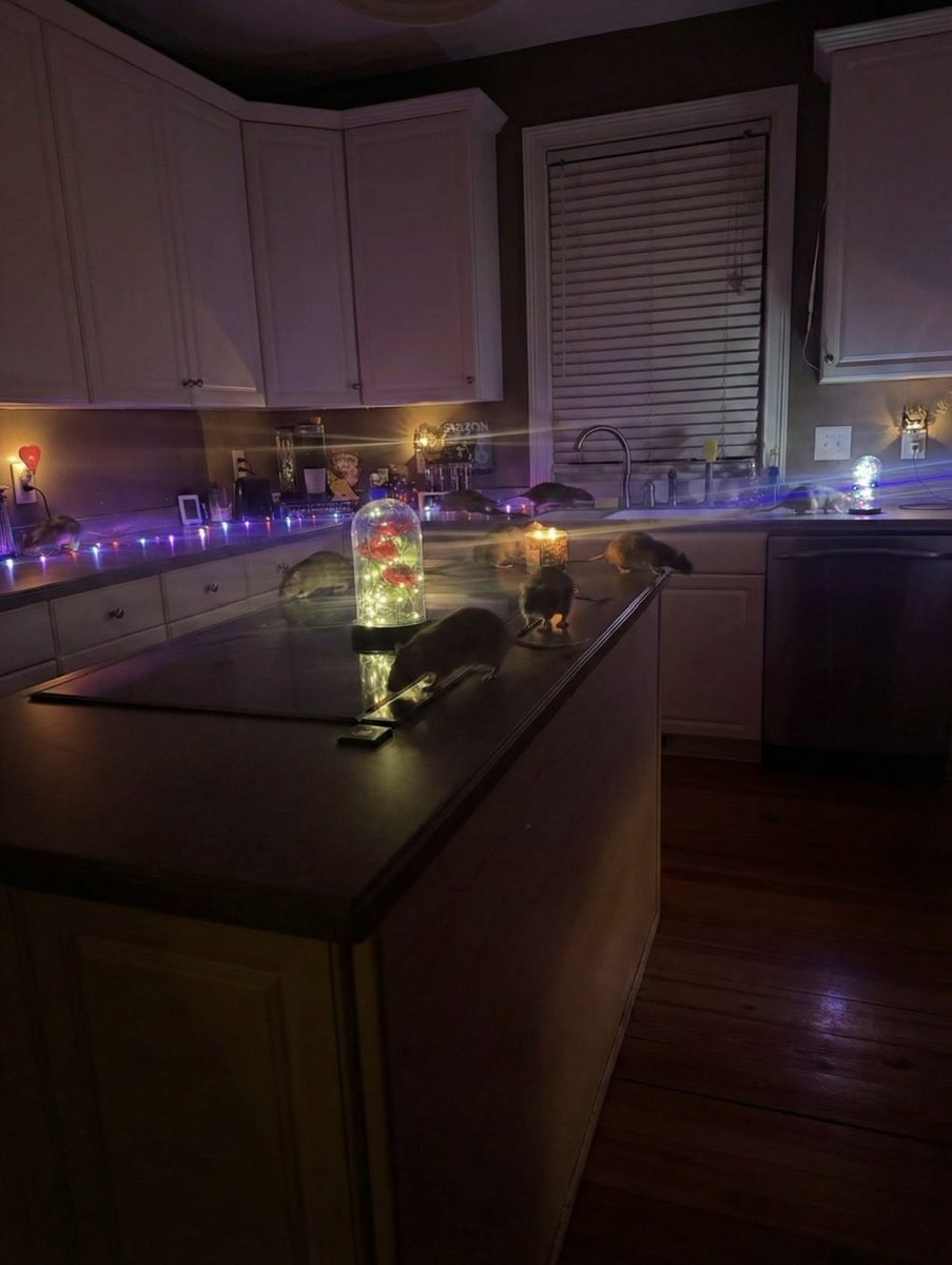 Bridgette West tweet media