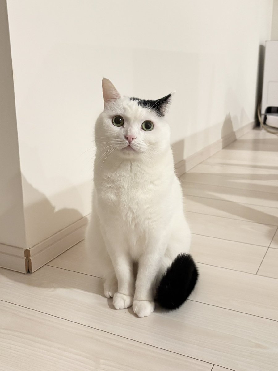 0FF1CIALtophat's tweet image. I'm #wellaware........

I was #joker with you......