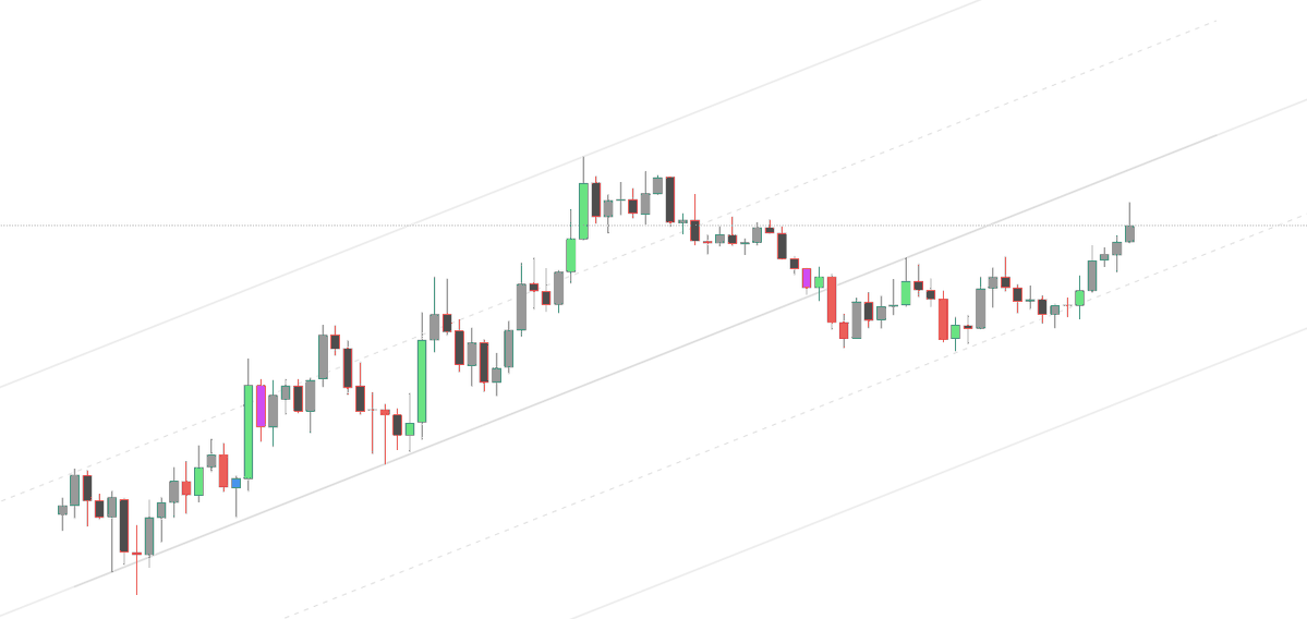 Miggymello tweet media