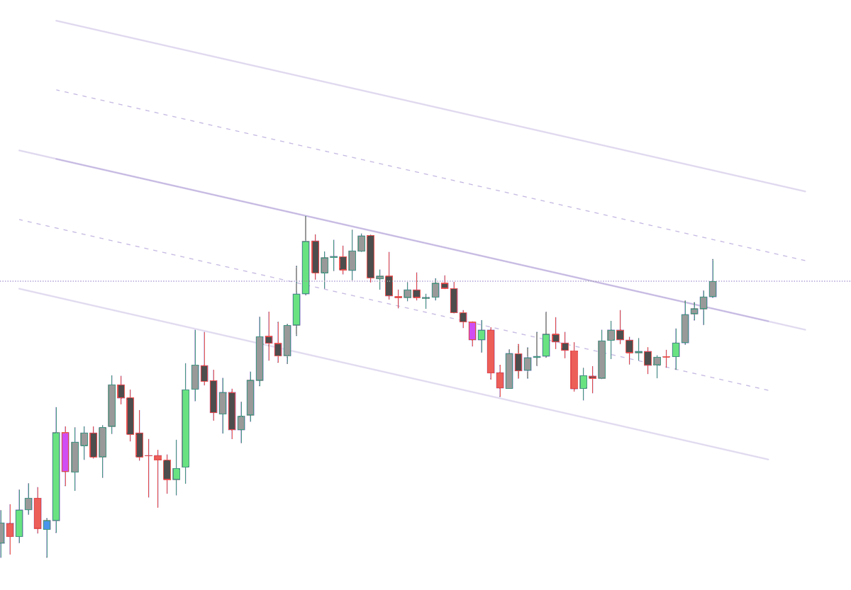 Miggymello tweet media