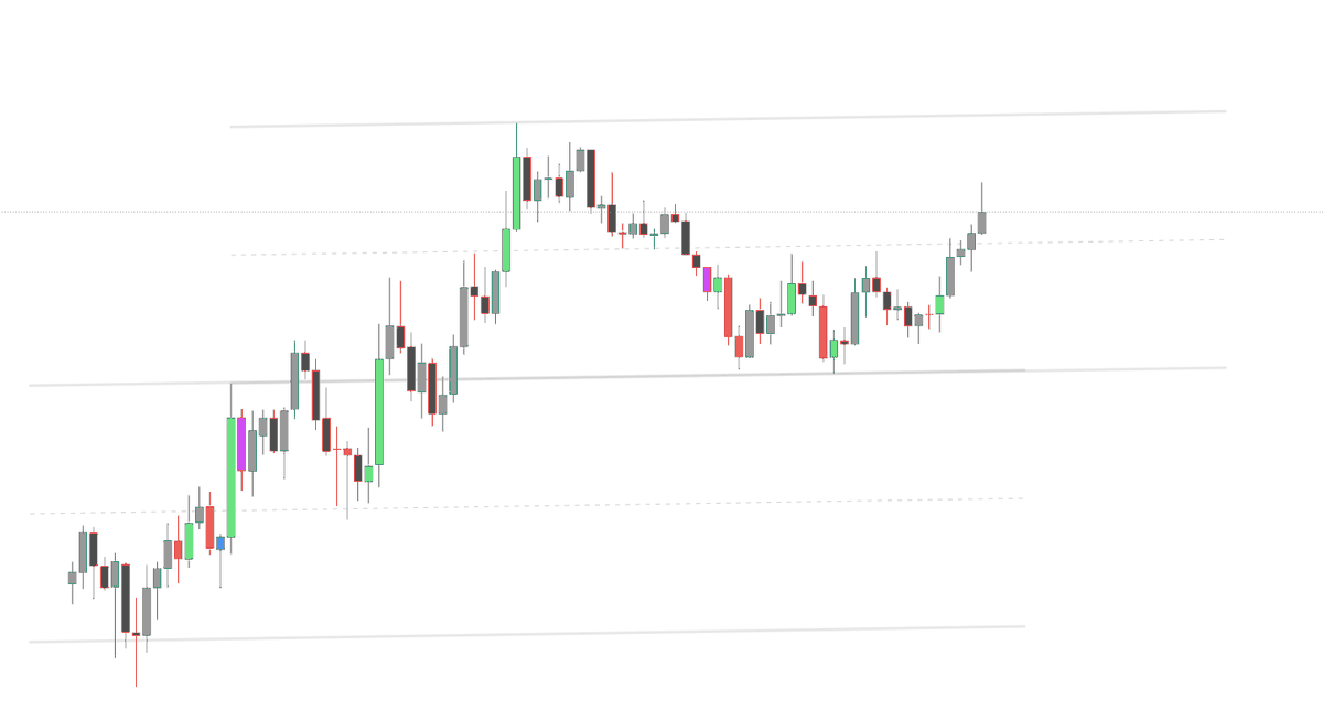 Miggymello tweet media