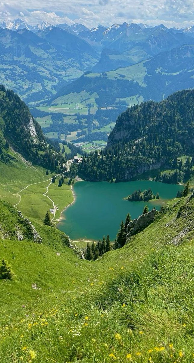 cmcfitz's tweet image. 先生は何のかな？ 🐋