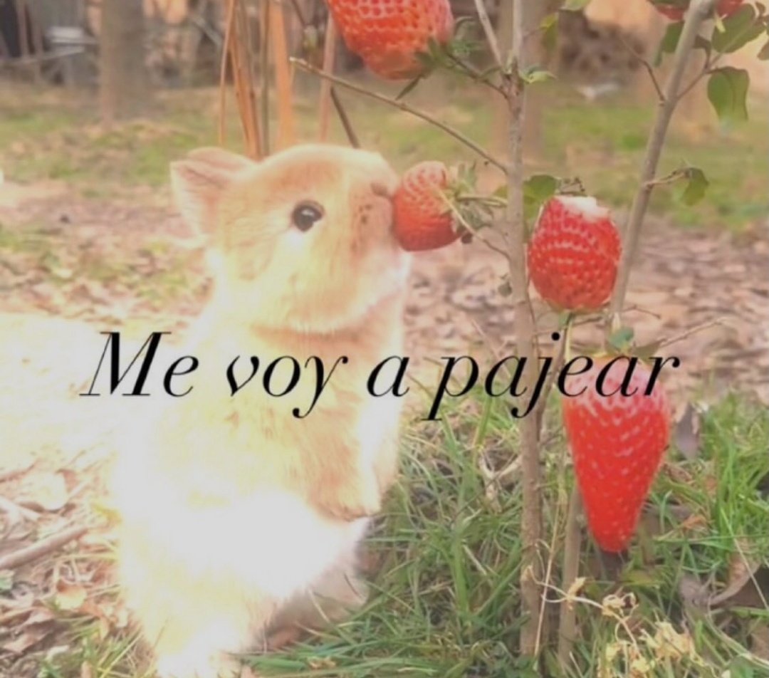 matiiasmolina85's tweet image. 