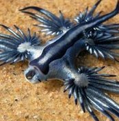 willfv's tweet image. スポーツで取る 👨