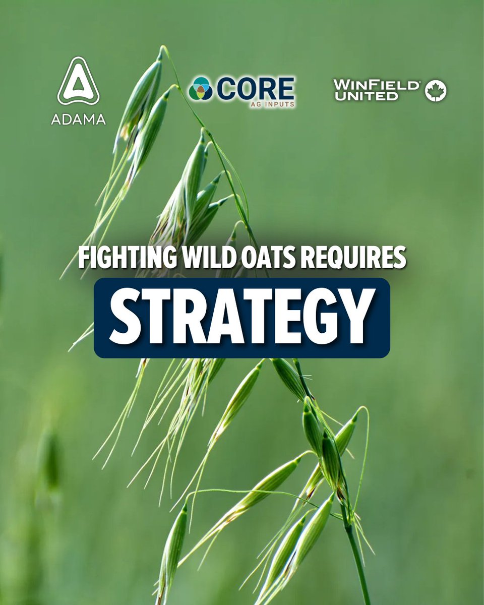 Core Ag Inputs- Warner Ltd tweet media