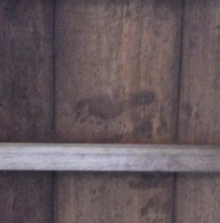 morrison2007's tweet image. 93人 🥚