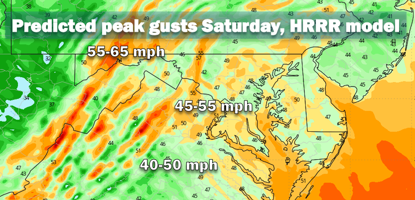 Capital Weather Gang tweet media