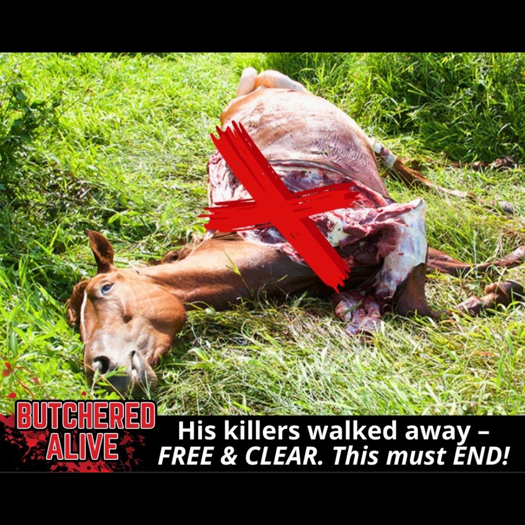 ARM Investigations tweet media