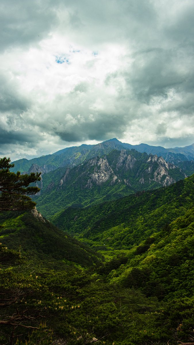 Tom Citoleux tweet media