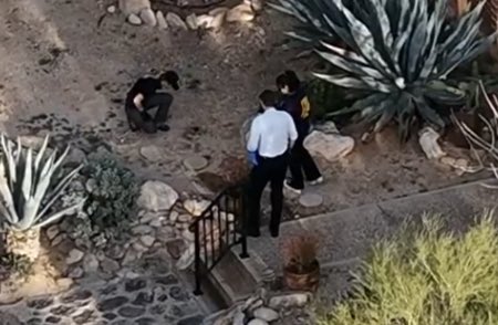 ⓒʜɪʟʟɪɴᴏɪꜱ tweet media