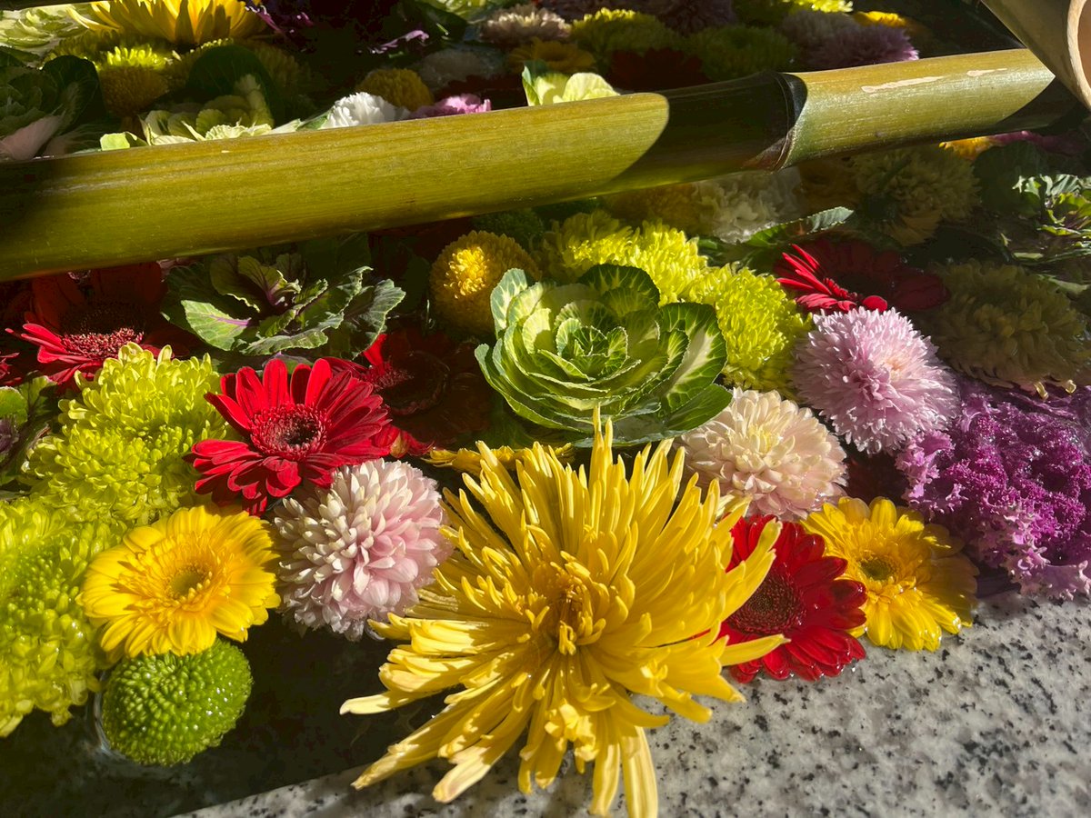 kazumaru884's tweet photo. 神社出会った、眩しすぎるほどの花手水✨
境内で春が爆発している様な圧倒的な色彩に、心が一気に晴れ渡りました😊
このエネルギーが皆様にも届きますように!
暦の上ではもう春。五感をフル活用して、自分だけの春を探す散歩に出かけましょう🌸
No.039:溢れ出す春色 🌼
#joyney #散歩 #春を探す https://t.co/BXfA03ECQx