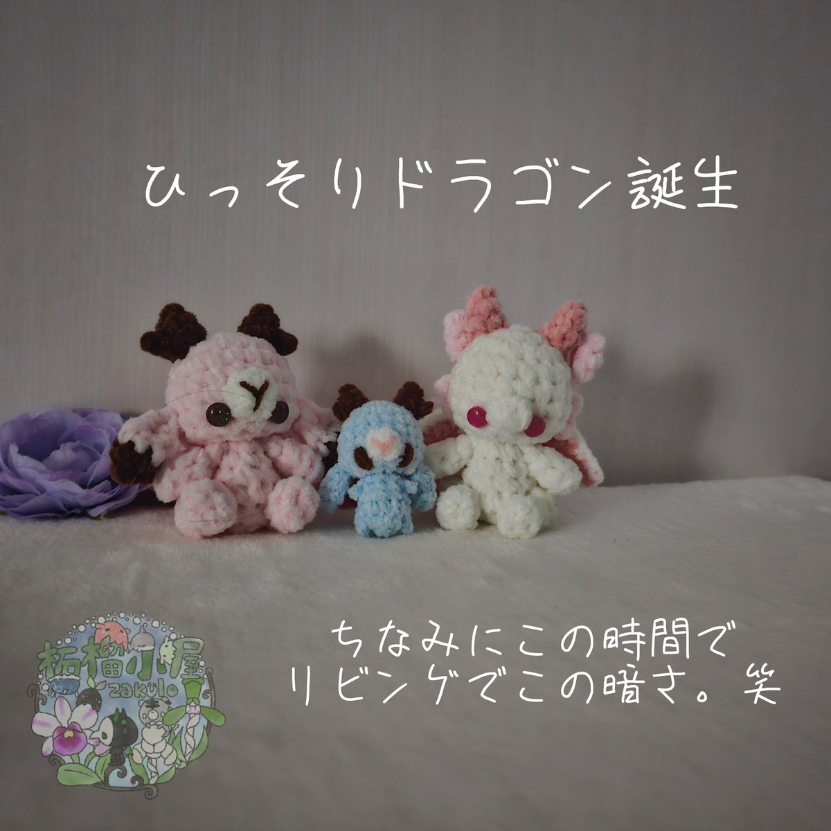 柘榴蘭(o•w•o)❄ (@zakulo_lan9846) / Posts / X