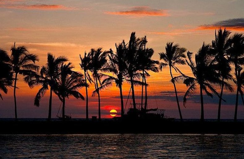 random_sample's tweet image. 速いパソコン 🤫