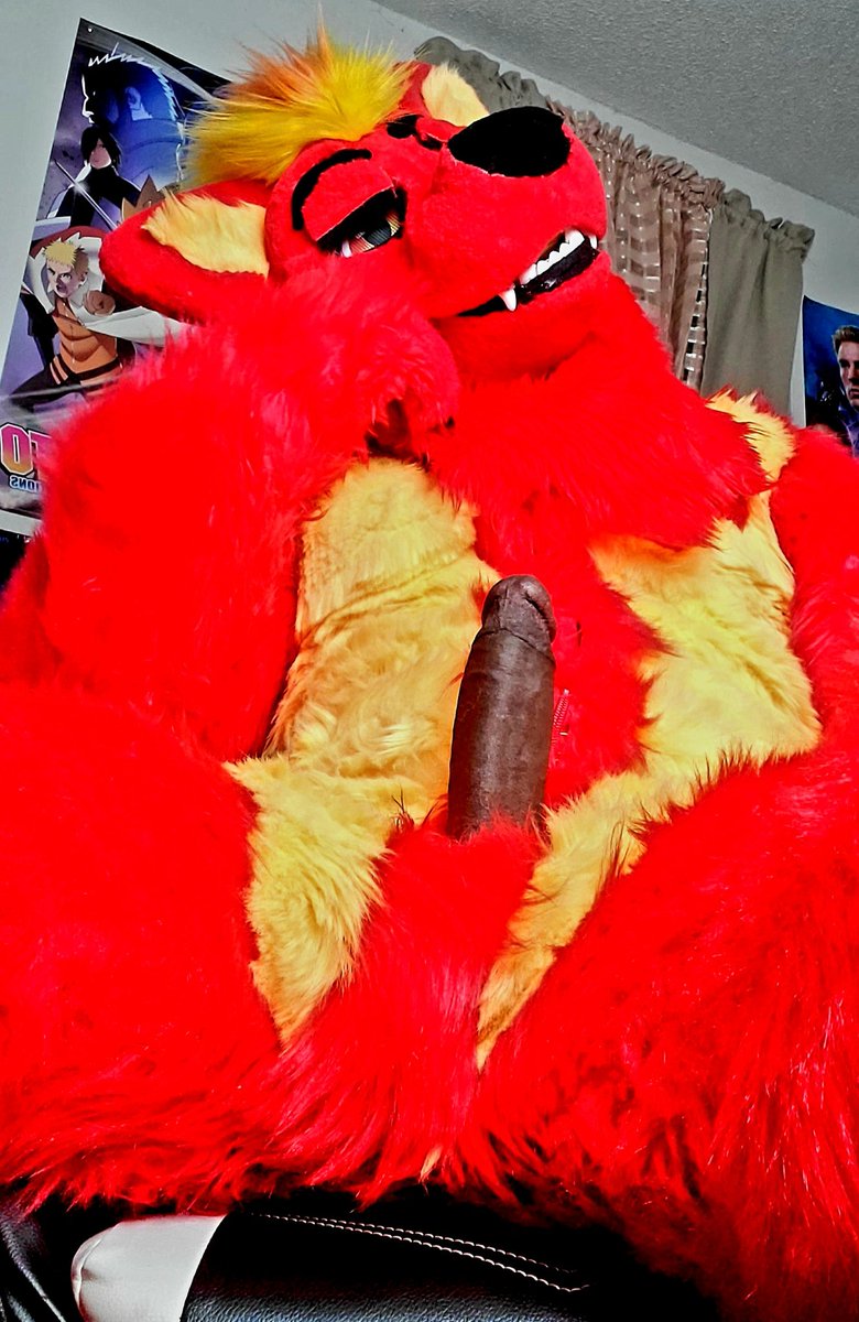 🔥🐺Pyro FireStorm🔥🐺 tweet media