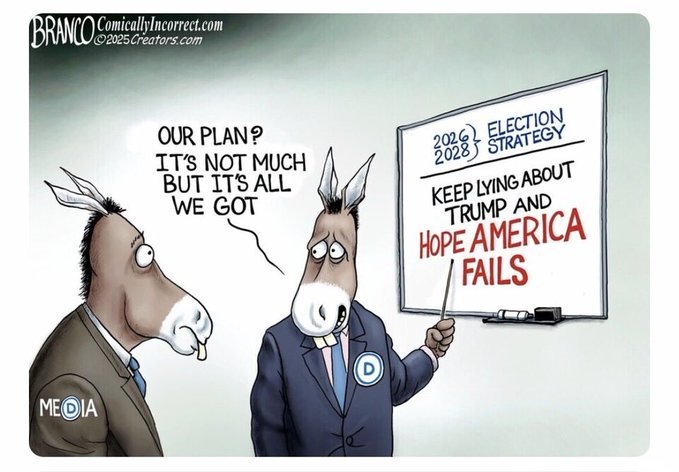 KJW (@hawkesbay69) on Twitter photo 