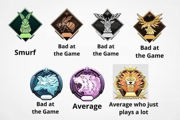 Yugiman101 tweet media