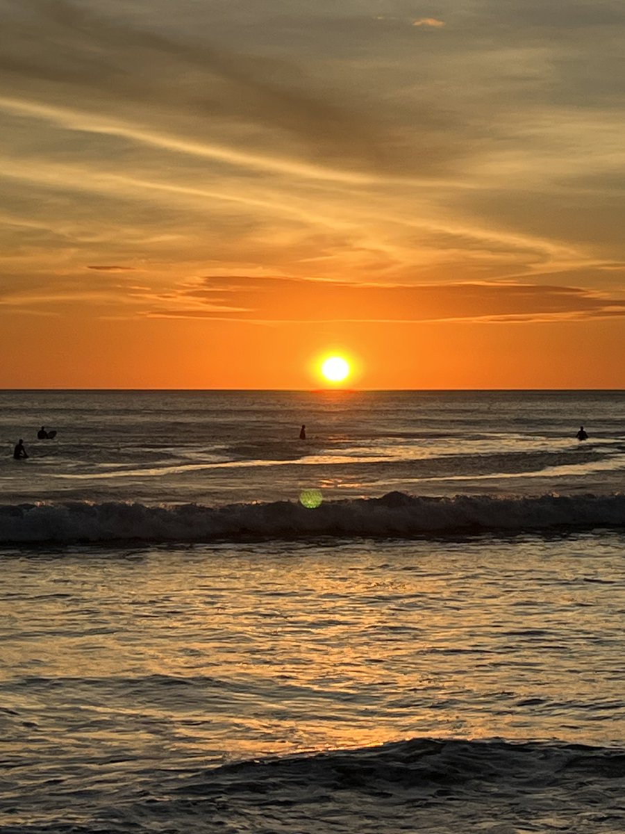 Paul Alofs tweet media