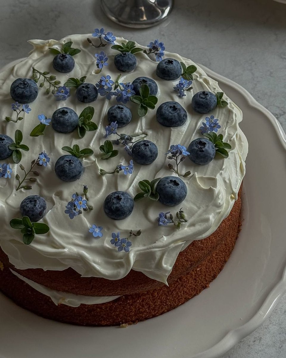 bluedreamvibes's tweet image. 