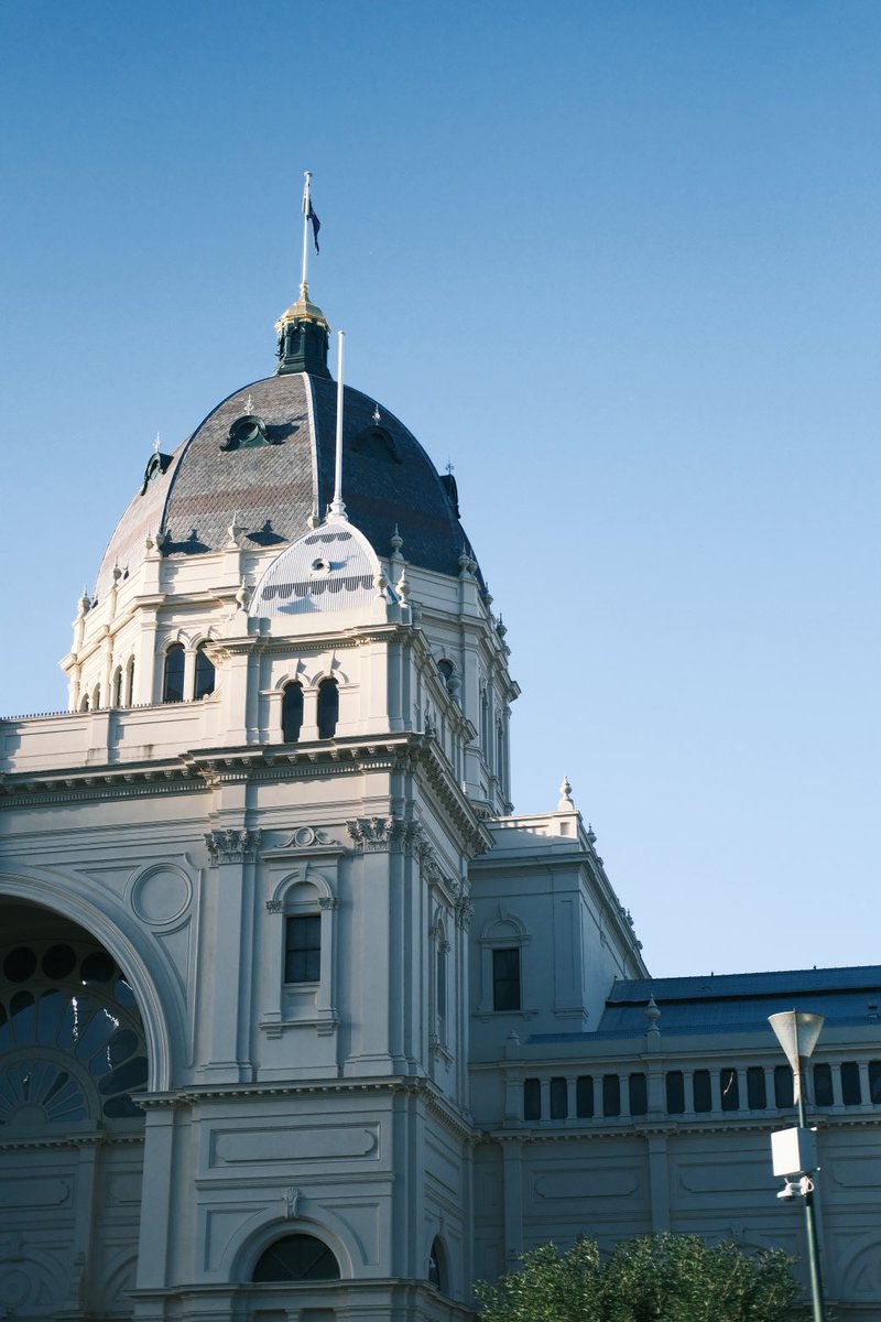 大❌富㍿ tweet media