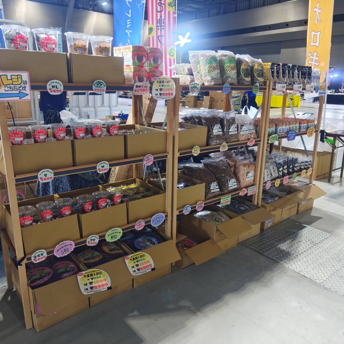 もしかしてだけどー
愛知でJRSの
イベントなんじゃないの🎵

活餌コオロギ🦗冷凍庫🧊も
群馬から持ってきました❗️
マウスもその場で選べます🐁

二日間お待ちしております💨
#ジャパンレプタイルズショー