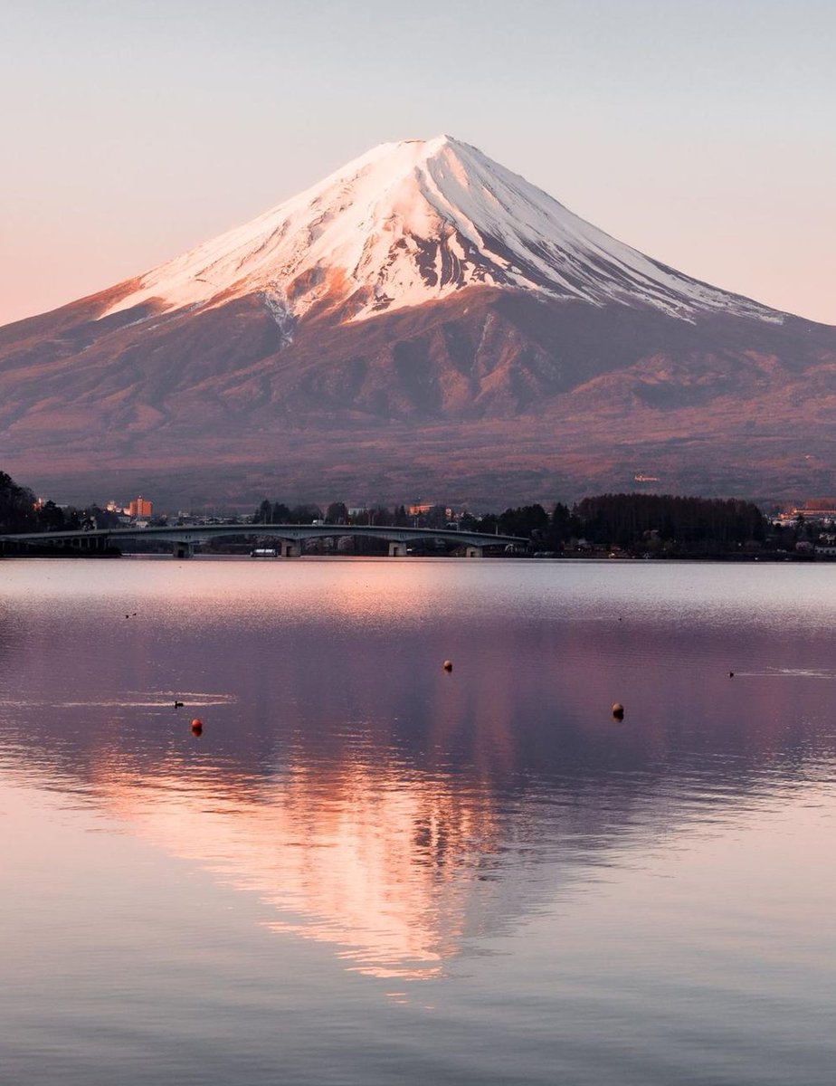 adelmo8's tweet image. 歯磨きは17時 😵