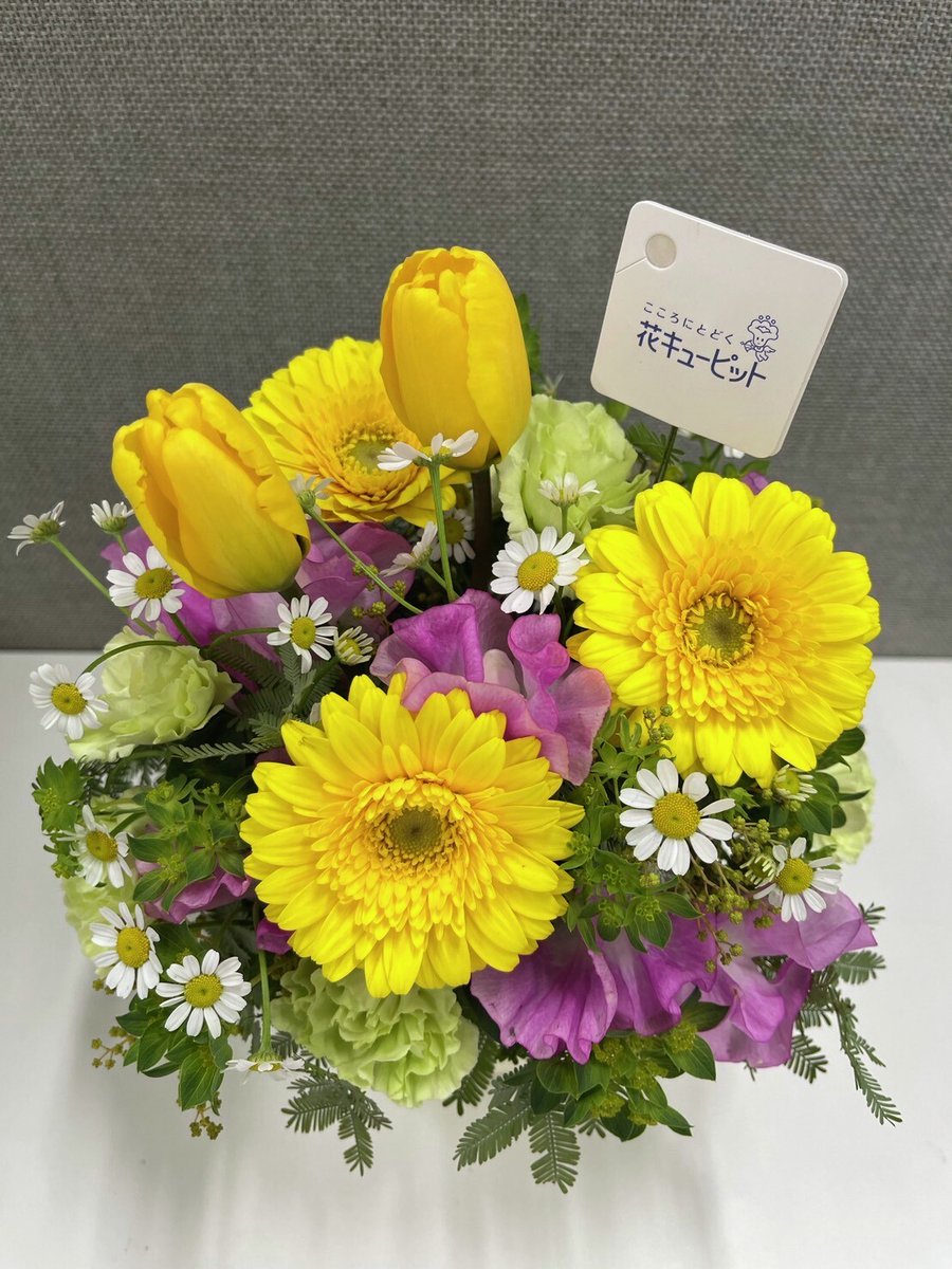 🌸 #花咲かタイムズ ✨🌷今週の花🌷✨ 今週の花「春のガーデン