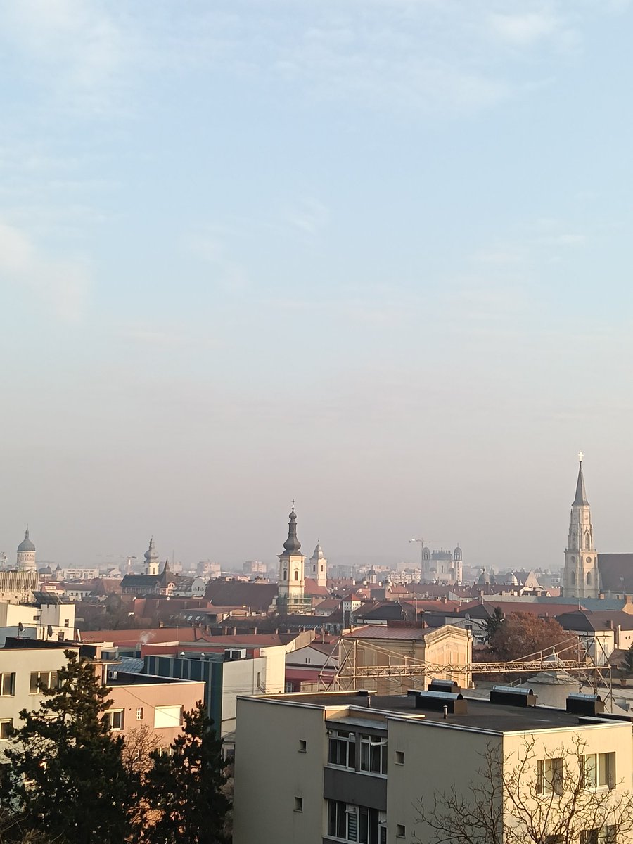 BotondBalassi's tweet image. 