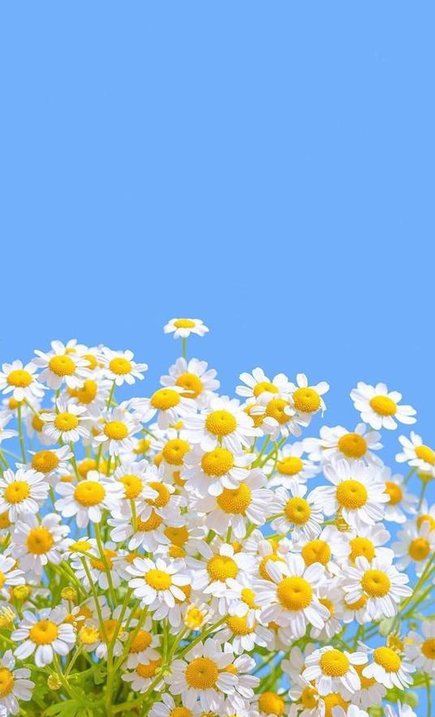 moosekillers's tweet image. 42歩 👩‍👧‍👦