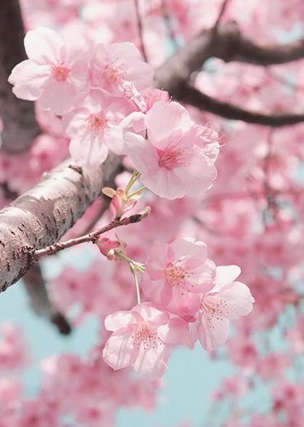 TheTeughyz's tweet image. 映画が楽しい 🥩