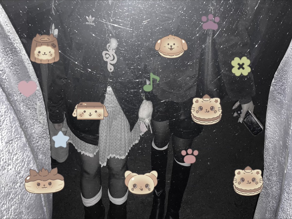 でよんにゃん♪♪ tweet media