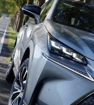 08F250's tweet image. 昼が怖い 👤