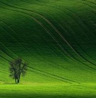 JerryToppa's tweet image. 快晴で幸せ 🦮