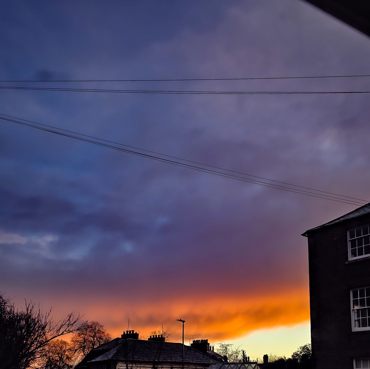 jack_piastri's tweet image. user jack_piastri outside twt