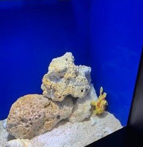 RContee's tweet image. 明日が辛い 🦆