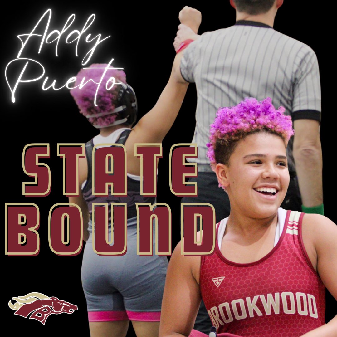 Addisyn Puerto 2029 tweet media