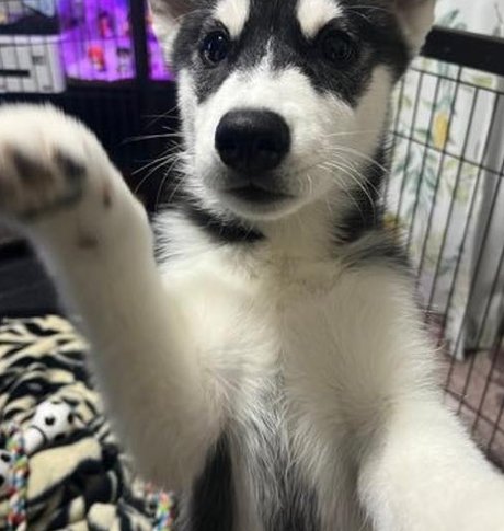 RealFemaleEmcee's tweet image. 映画は何ですか？ 🌰