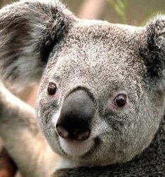 reader0419's tweet image. スポーツが難しい 🤫