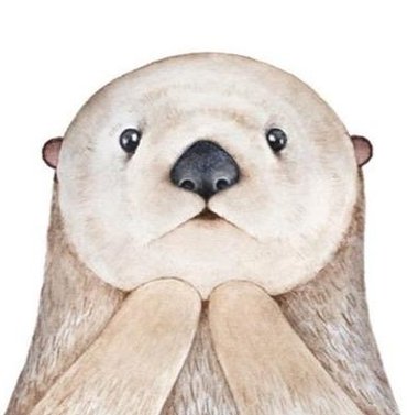 X_Ronocococo_X's tweet image. 午後にDIYする 🐓