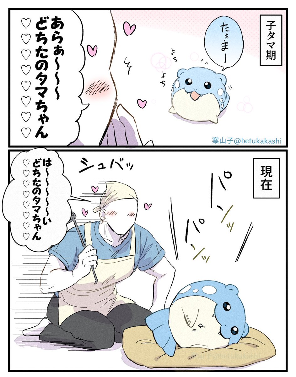 betukakashi's tweet image. 