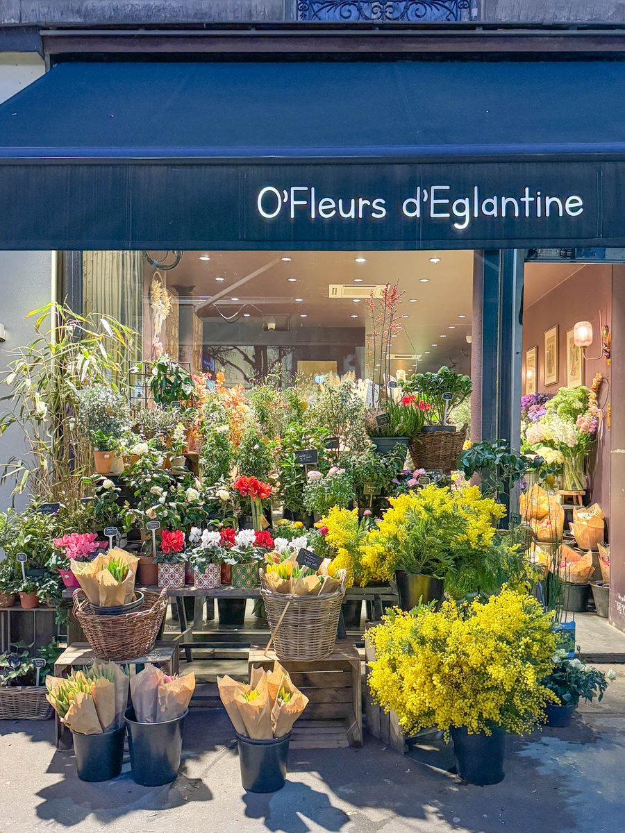 💐2026年2月のパリの天気と服装
2月5日（木）曇り時々晴れ 7/13℃
→tricolorparis.com/meteo/2026/met…

パリのお花屋さん。この季節は黄色いミモザが鮮やかに軒先を飾っていて、ハッとするほど素敵です。